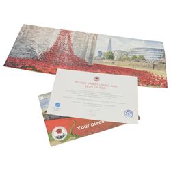 Paul Cummins (b 1977) ceramic poppy, framed from the poppy art installation 'Blood Swept Lands and Seas of Red' at the tower of London with certification of authenticity, frame H54cm