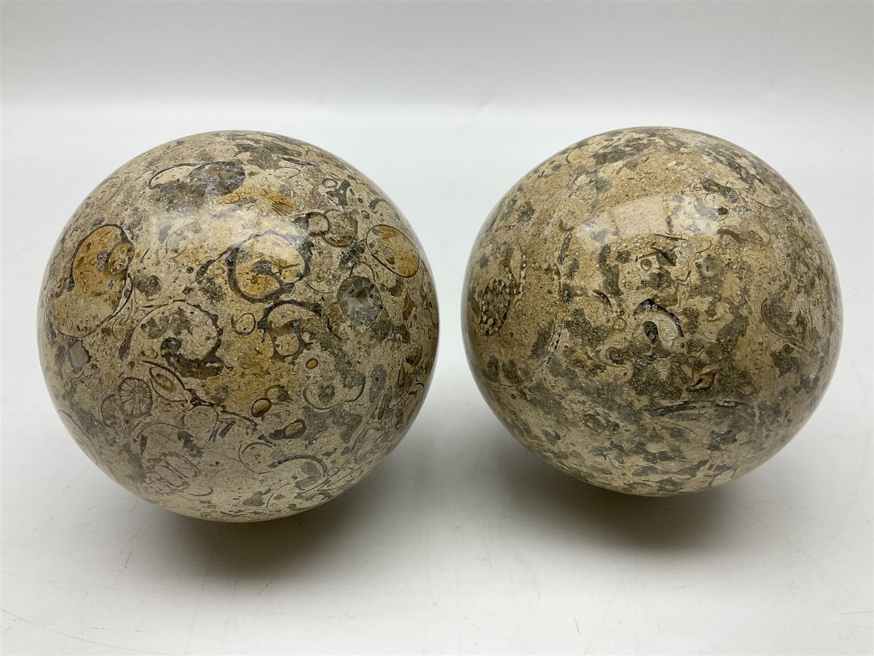 Pair of fossilised coral spheres, D12cm