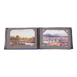 Collection of Victorian and later postcards and greetings cards, including black and white family photographs, 1920s birthday cards, black and white and colour postcards of York, Newcastle, Whitby etc, housed in five early 20th century postcard albums and some loose