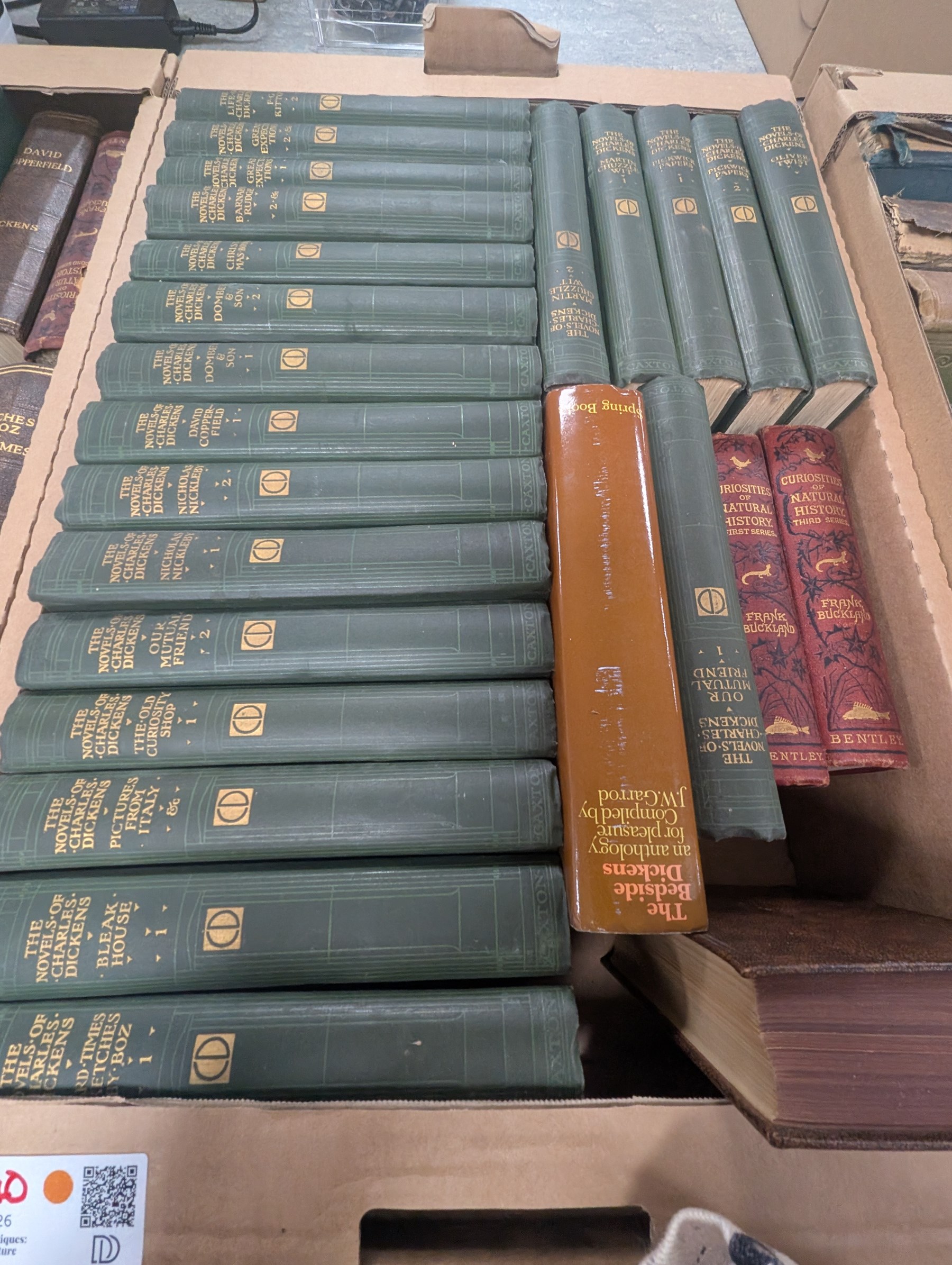 Large collection of books, including Frank Buckland - Curiosities of Natural History, Natural History of Birds, The Novels Charles Dickens, Pickwick Club, etc  