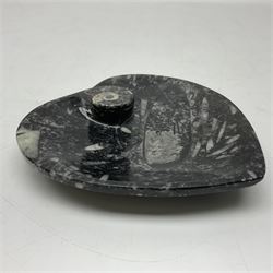 Three piece desk set, comprising letter rack, dish and box with raised Orthoceras to the lid, all with Orthoceras and Goniatite inclusions, age: Devonian period, location: Morocco