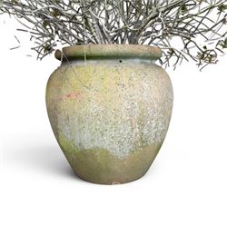 Large terracotta circular planter, oval form with ribbed top, planted; and an Errington Reay & Sons terracotta planter