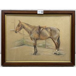 C Joane Bastard (20th century): Horse Portrait, pastel signed and dated 1931, 30cm x 42cm