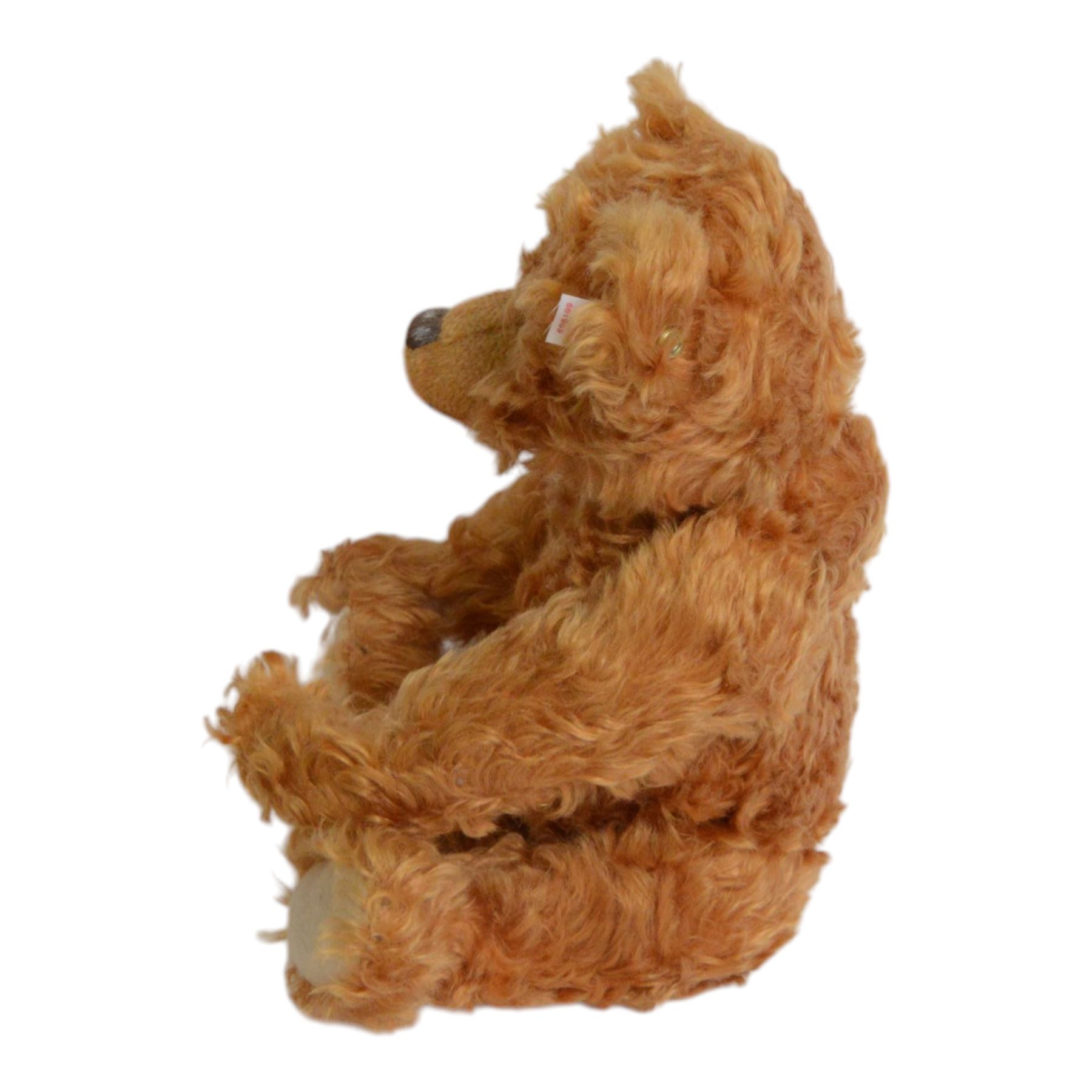 Steiff British Collector's Teddy Bear 2005 and a Historie d'Ours