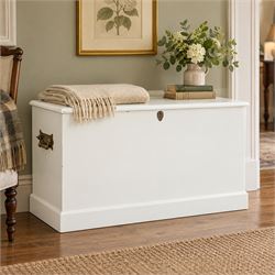 And So To Bed - Victorian style white painted blanked chest with twin brass carrying handl...