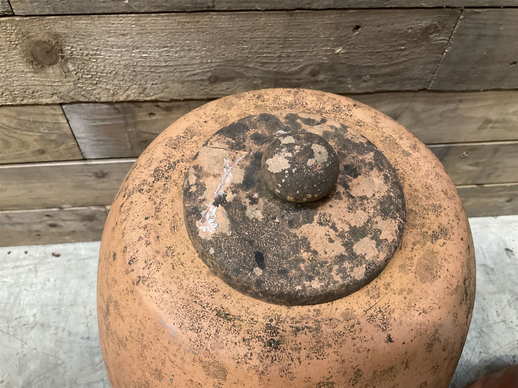 Yorkshire Flower Pots - Terracotta rhubarb forcer (H49cm, D40cm) and ten Sankey terracota plant pots (H17cm, D20cm)