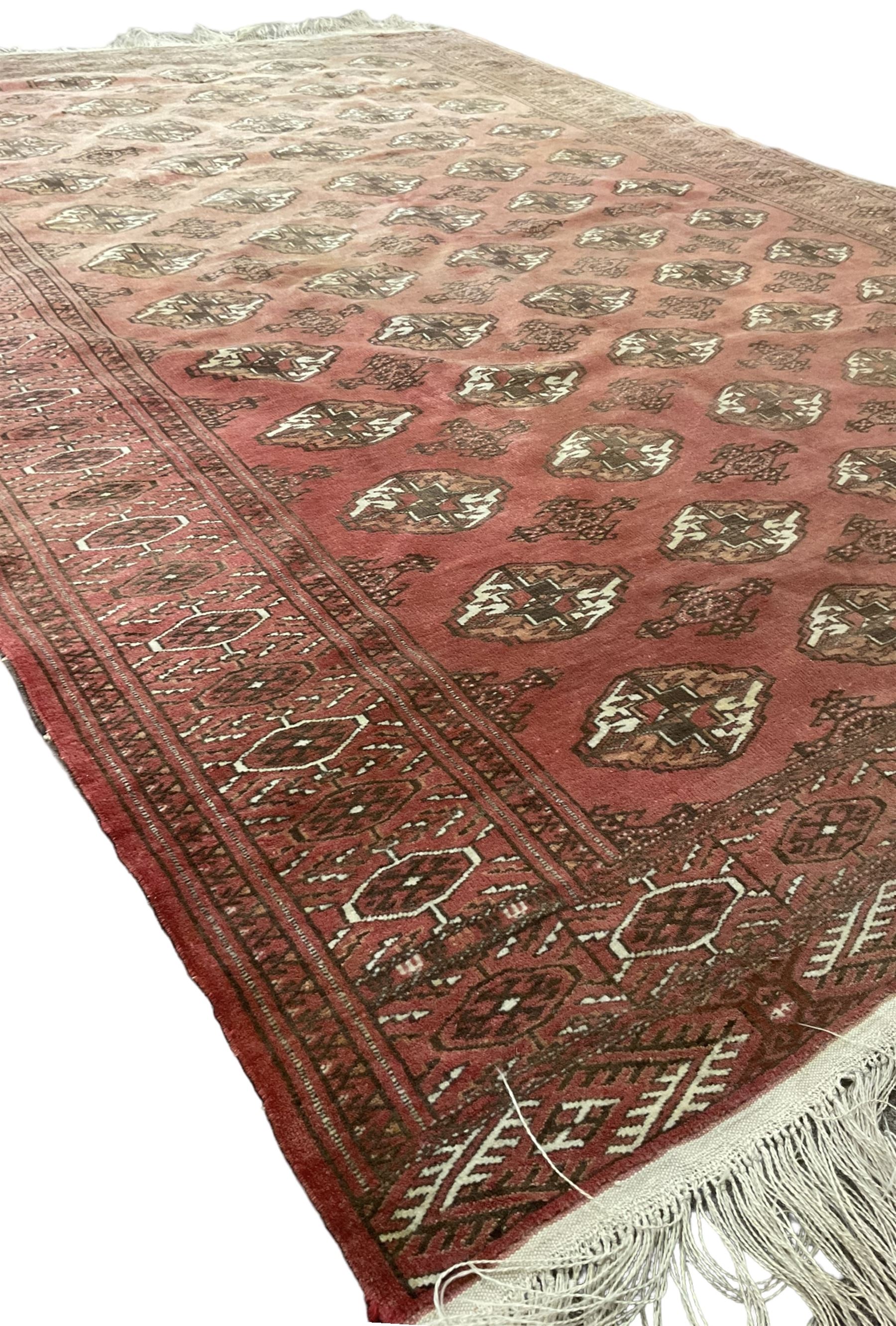 Afghan Bokhara red ground rug, the field decorated with five rows of Gul motifs, guarded border decorated with lozenges and geometric pattern 