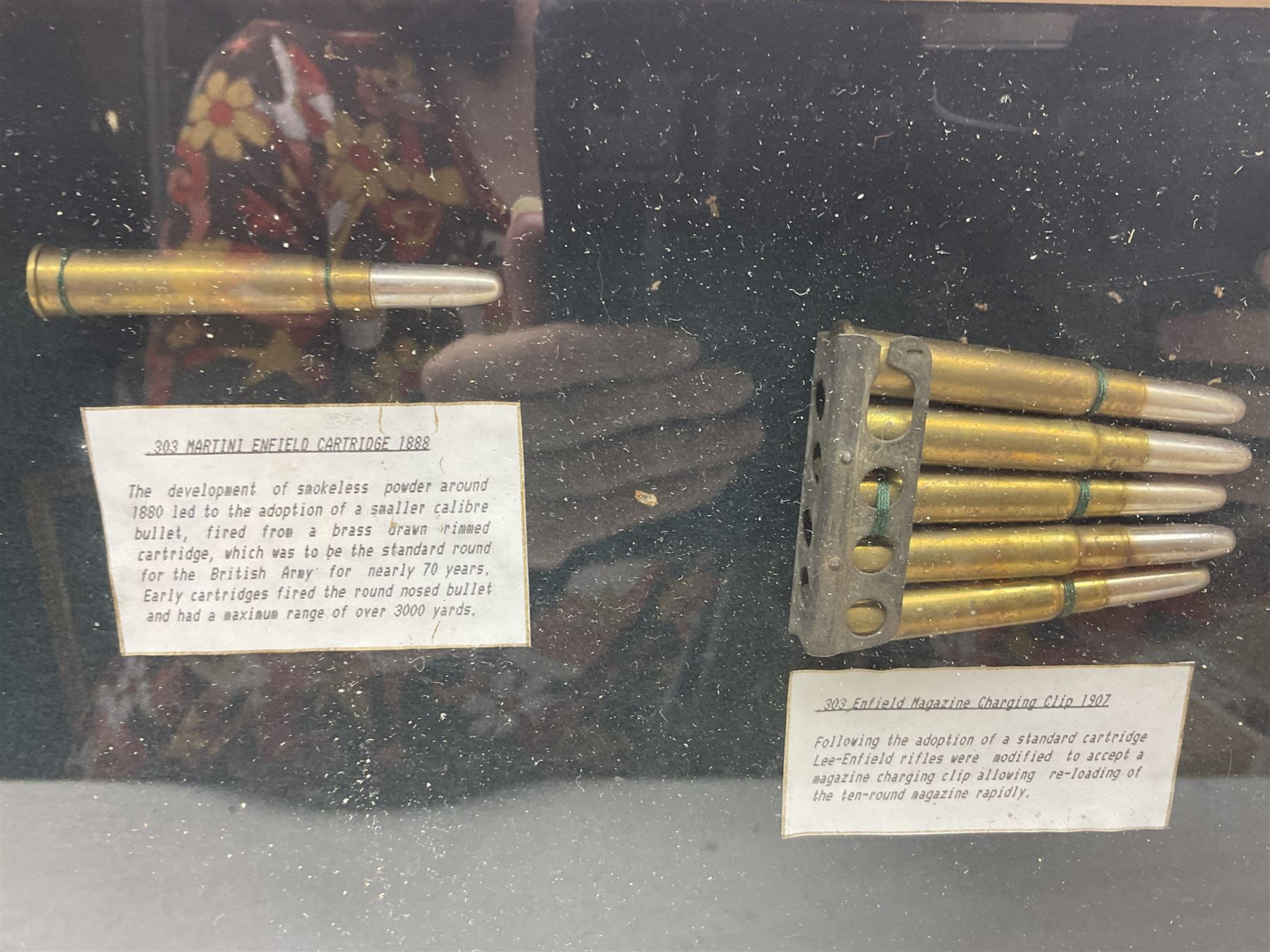 SECTION 1 FIRE-ARMS CERTIFICATE REQUIRED - Two cased specimen displays of annotated ammunition/cartridges - one entitled 'First World War Collection' containing twenty items including 7.63 Mauser, 7.65 Luger, .303, 7.62 x 54R Russian long, 455 Mk.II lead, 455 Auto etc; the other with sixteen items/clips including Musket cartridge, .577 Snider-Enfield, .577/45 Martini Henry, .303 Enfield Magazine, 7.62 Charger Clip, Specialised .303 rounds etc; largest case 41 x 76cm (2)