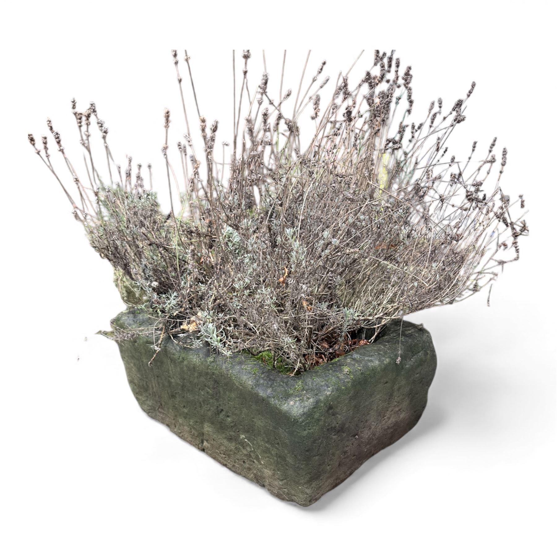 Two 19th century stone troughs with small stone planter