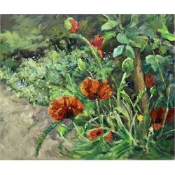 Catherine Tyler (British 1949-): 'Garden Poppies', oil on canvas signed and dated 2016, titled verso 51cm x 61cm (unframed)