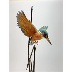 David Fryer Studios for Royal Worcester, a limited edition bronze and porcelain model of a kingfisher in flight, supported by bronze rushes, upon a clear base, signed D Fryer, and numbered 206/750, H48cm. 