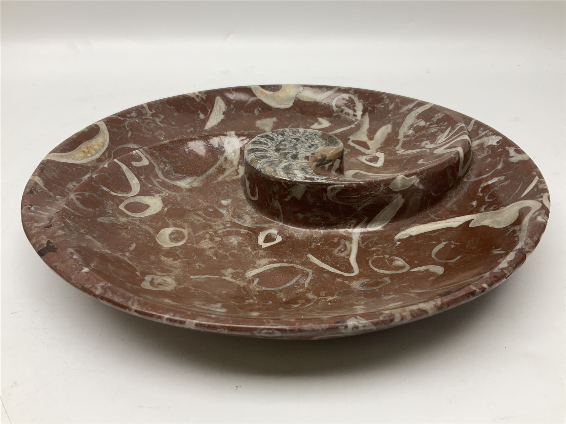 Large circular dish with a raised Goniatite to the centre and Orthoceras inclusion, age: Devonian period, location: Morocco, D30cm