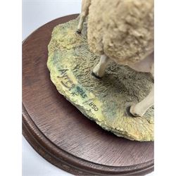 Two Border Fine Arts figures, modelled by Ray Ayres, comprising Texel Ram (Style One), model no L108, no 662/850, and Texel Ewe and Lambs (Style One), model no L37, no 49/850, each on wooden base, together with another Border Fine Arts figure, Curiosity JH81.
