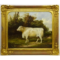 English School (19th century): Portrait of a Whitebred Shorthorn Heifer in Landscape setting, oil on canvas indistinctly signed, 61cm x 75cm
Notes:  the stretcher is inscribed 'J Thomas Ford Esq., Burton Pidsea' (East Yorkshire), there is a listing in Burton Pidsea's history '.....one of the larger houses certainly built on a new site was Bramhill House. Thomas Ford, farmer, mortgaged its site, Bramer Hill close, and other lands in 1844 for £3,000, and the house was evidently built soon afterwards