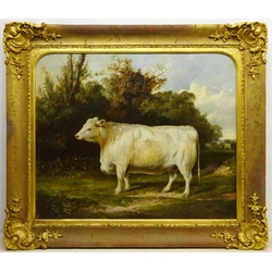 English School (19th century): Portrait of a Whitebred Shorthorn Heifer in Landscape setting, oil on canvas indistinctly signed, 61cm x 75cm
Notes:  the stretcher is inscribed 'J Thomas Ford Esq., Burton Pidsea' (East Yorkshire), there is a listing in Burton Pidsea's history '.....one of the larger houses certainly built on a new site was Bramhill House. Thomas Ford, farmer, mortgaged its site, Bramer Hill close, and other lands in 1844 for £3,000, and the house was evidently built soon afterwards