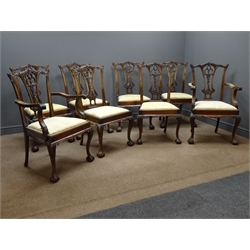  20th century Chippendale style set eight (6+2) dining chairs, acanthus carved cresting rail, pieced and carved splat, upholstered seat, cabriole legs with ball and claw feet  