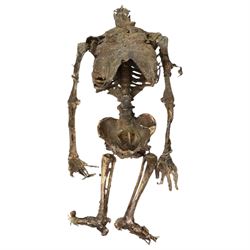 FILM PROPS; four decomposing prop cadavers, each with articulated joints and limbs, likely from a TV or film production, each prop displays intricate detailing with realistic aging and weathering, with a body bag