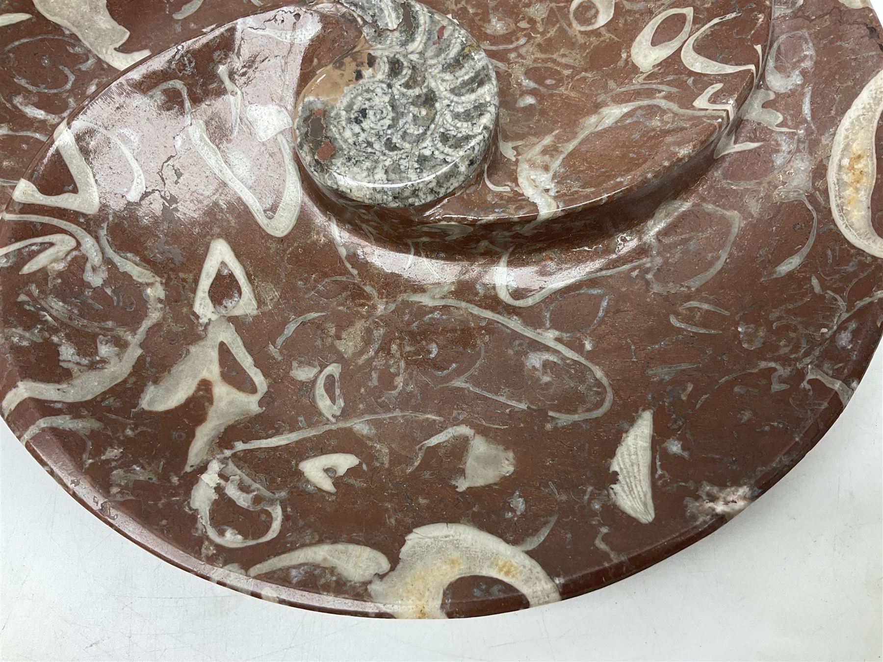 Large circular dish with a raised Goniatite to the centre and Orthoceras inclusion, age: Devonian period, location: Morocco, D30cm