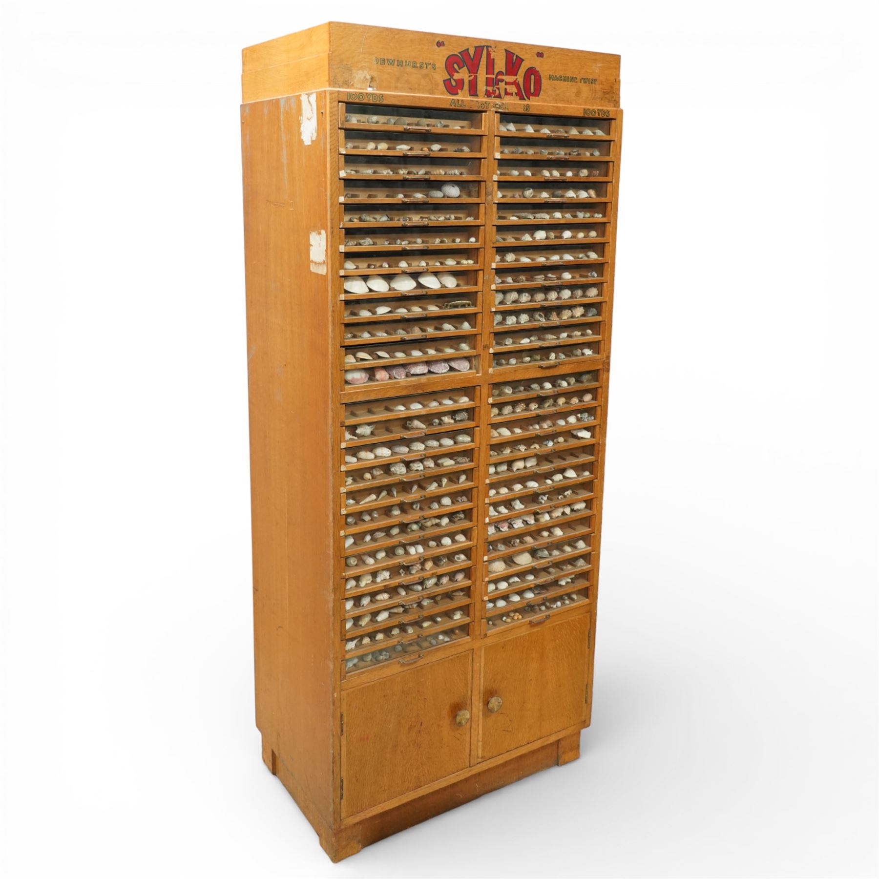 Sylko display cabinet, with fifty drawers with glass fronts, each drawer divided into eight sections displaying shells, with two door cupboard beneath