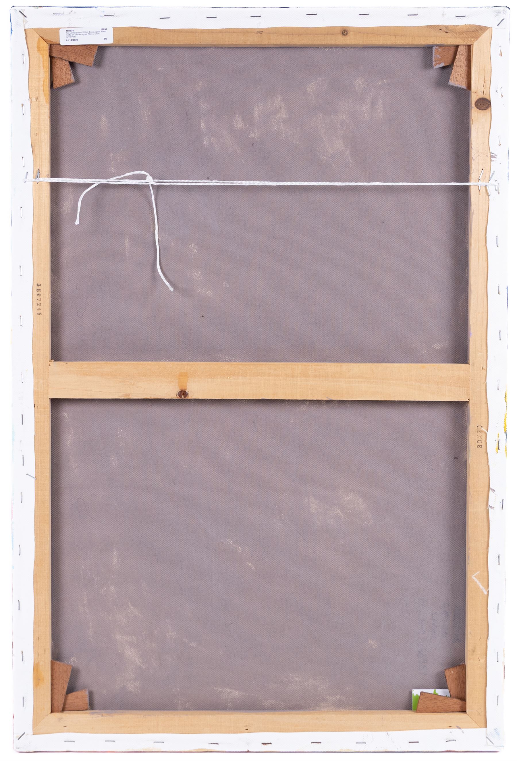 Ann Lamb (British 1955-): Trees Aglow, mixed media on canvas signed 76cm x 51cm (unframed)