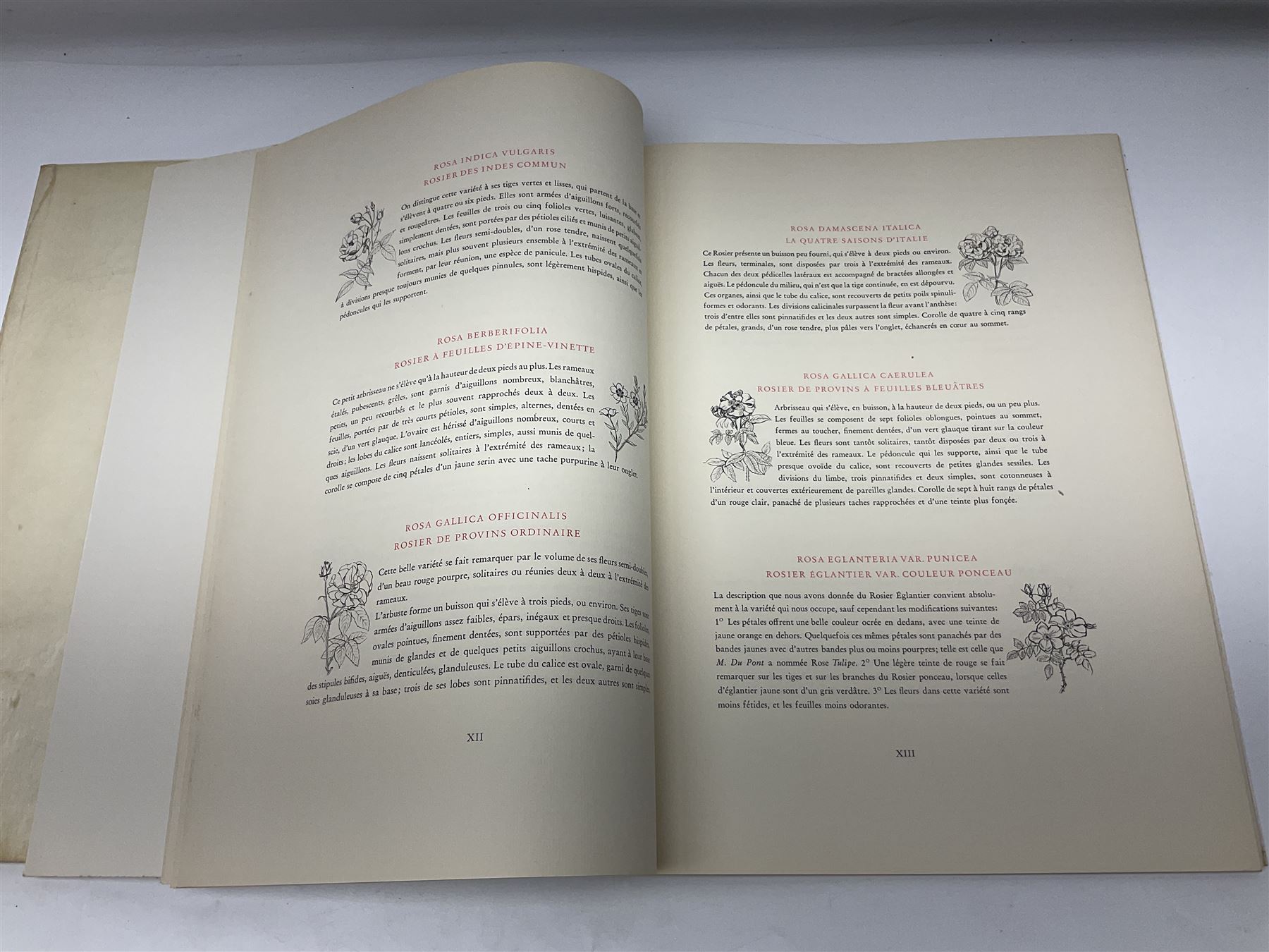 Pierre-Joseph Redoute; two copies of Roses 2, published by The Ariel Press, London 1956, containing coloured plates 