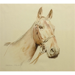  Lawrence Klonaris (Late 20th century): Horse's Head study, indistinctly signed 43cm x 48cm  