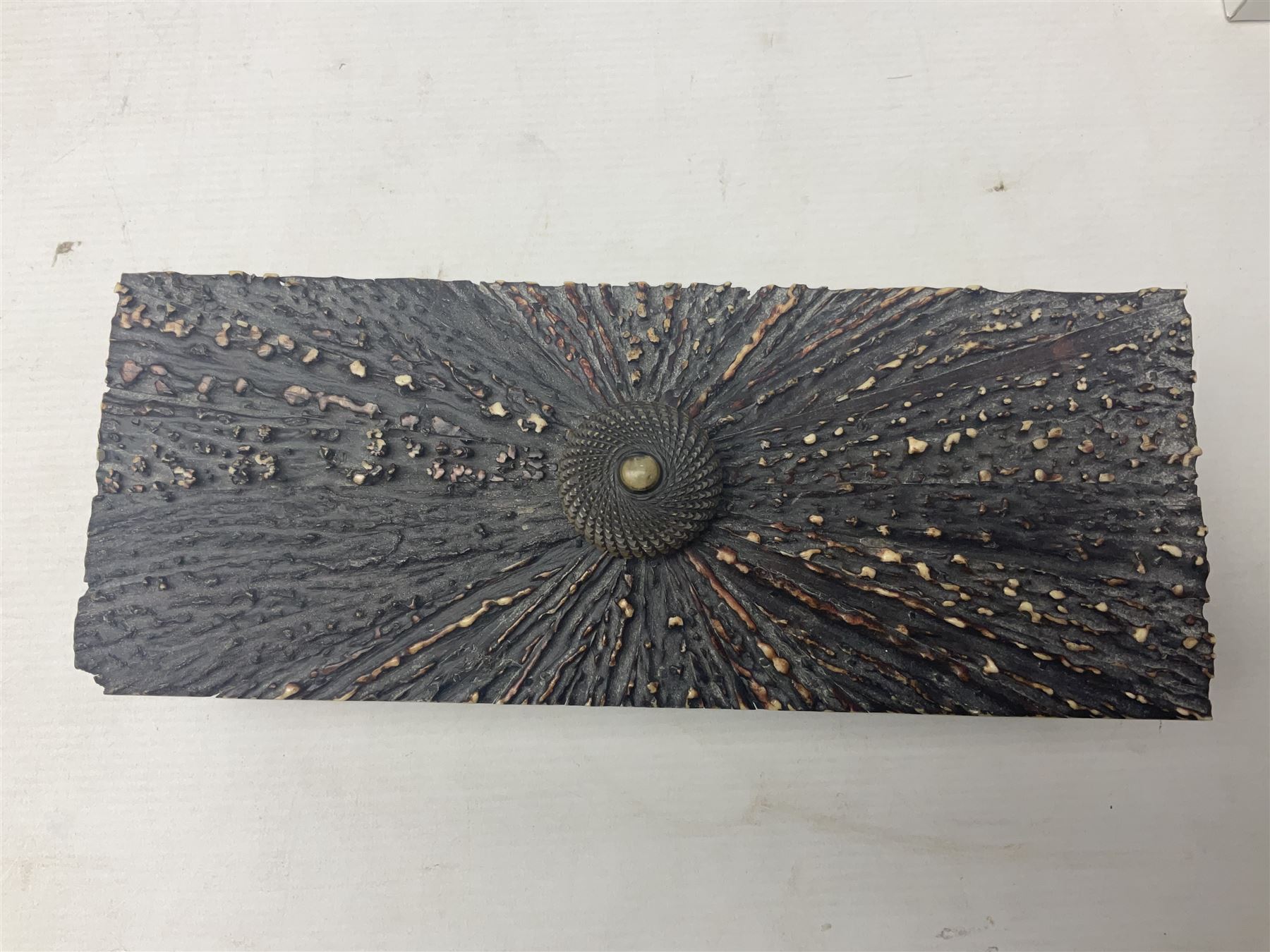 19th century elk horn and cedar wood box, with carved finial, H12cm, L27cm