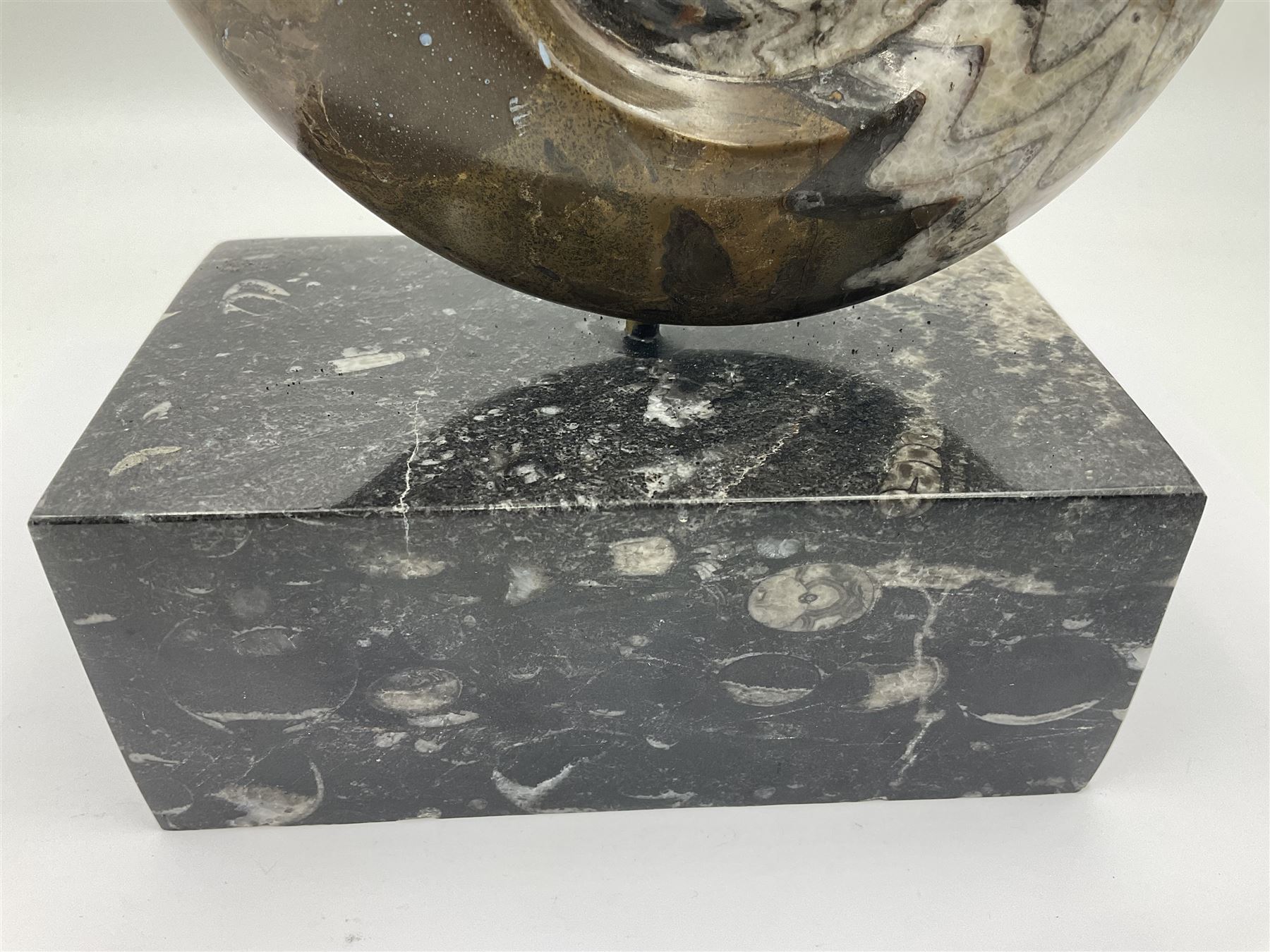 Goninite sculpture, poslised goninite, mounted upon a rectangular marble base with with orthoceras and goniatite inclusions, age: Devonian period, location: Morocco, H20cm