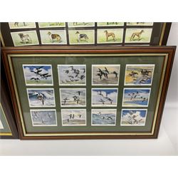 Four mounted and framed sets of cigarette cards comprising Players Game Birds & Wild Fowl; Ogdens British Birds & Their Eggs; Wills Dogs; and reproduction Players Peter Scott's Wildfowl; various frames (4)