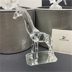 Five Swarovski Crystal figures, comprising giraffe, deer, hummingbird, rose and rearing horse, all with original boxes 