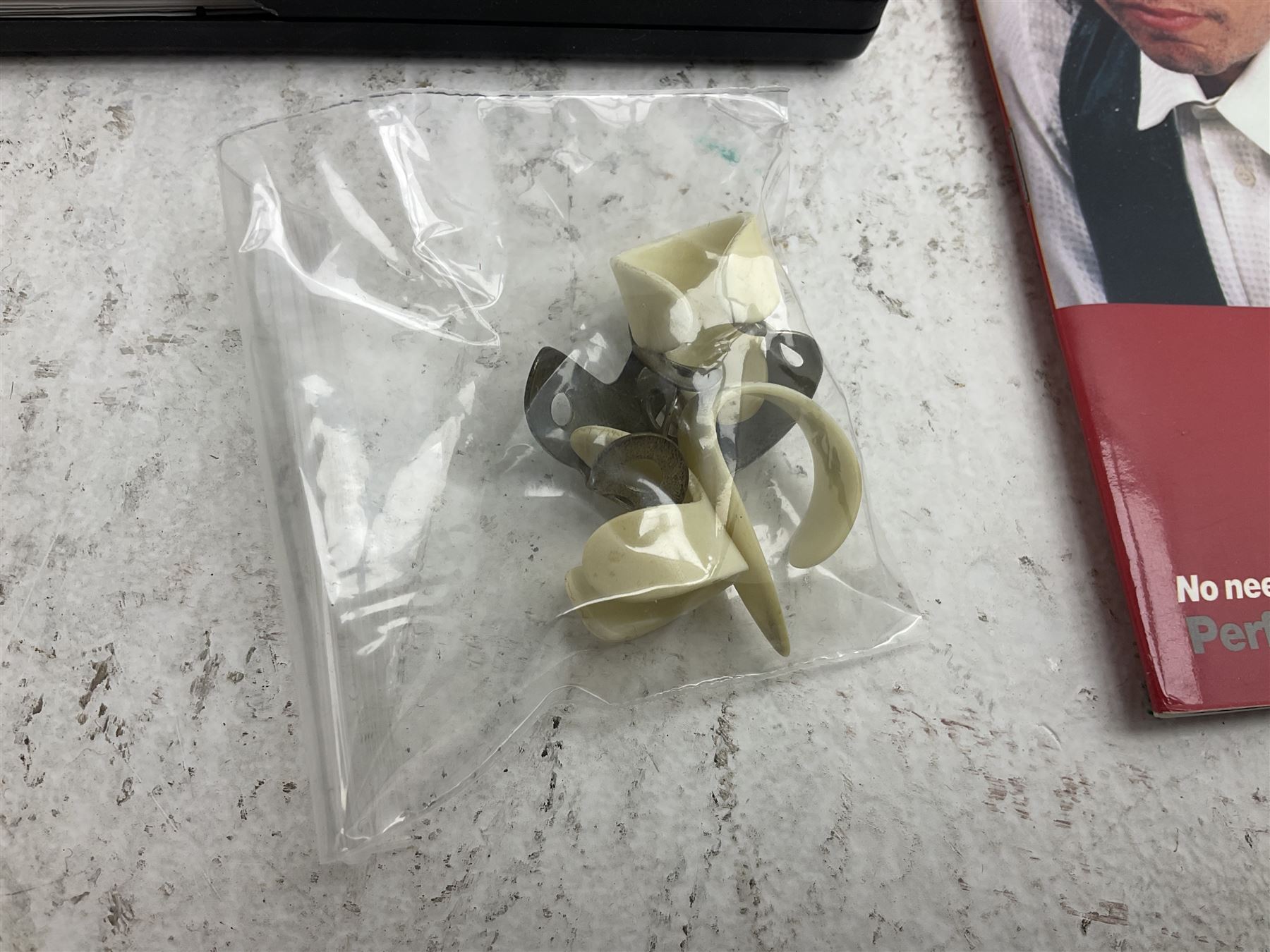 Rally five-string banjo with mahogany solid back L101cm in soft carrying case; and Brunswick Model BF200 acoustic guitar L103cm; with small quantity of instructional DVDs and booklets