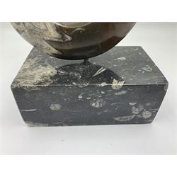 Goninite sculpture, poslised goninite, mounted upon a rectangular marble base with with orthoceras and goniatite inclusions, age: Devonian period, location: Morocco, H20cm