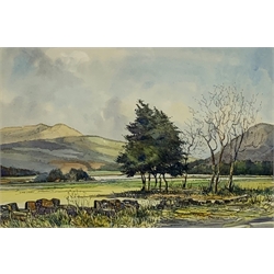 John Freeman (British 1942-): 'Loch Leven', pen ink and watercolour signed titled and dated '70, 25cm x 36cm