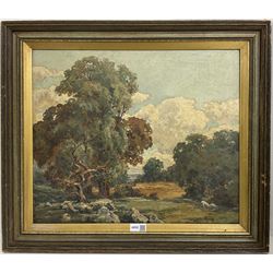 J Millar (British Late 19th century): Country Landscape with Sheep Grazing, oil on canvas signed 41cm x 49cm