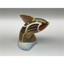 Royal Crown Derby tropical fish paperweight in the form of a Guppy, with a silver stopper, and Royal Crown Derby tortoise paperweight with gold stopper