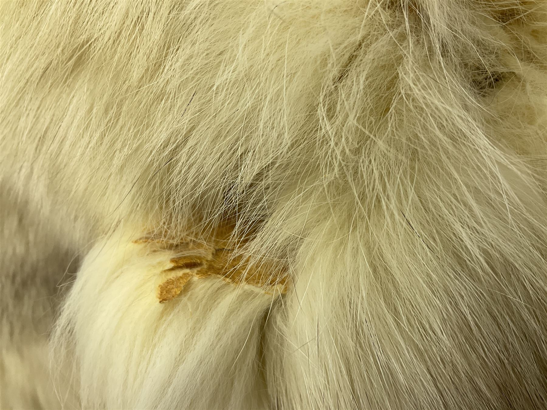 White Arctic Fox fur coat with loop fasteners 