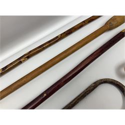 Four late 19th/early 20th century walking canes, to include a stained wooden example, the curved handle carved and painted as the racehorse Churchtown Boy, together with a plain wooden cane with pine pommel and two others, tallest H136cm