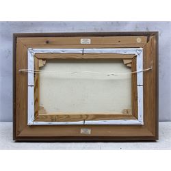 Mary Wastie (Cornish 1935-): Sunshine Over a Lake, oil on canvas signed 29cm x 44cm