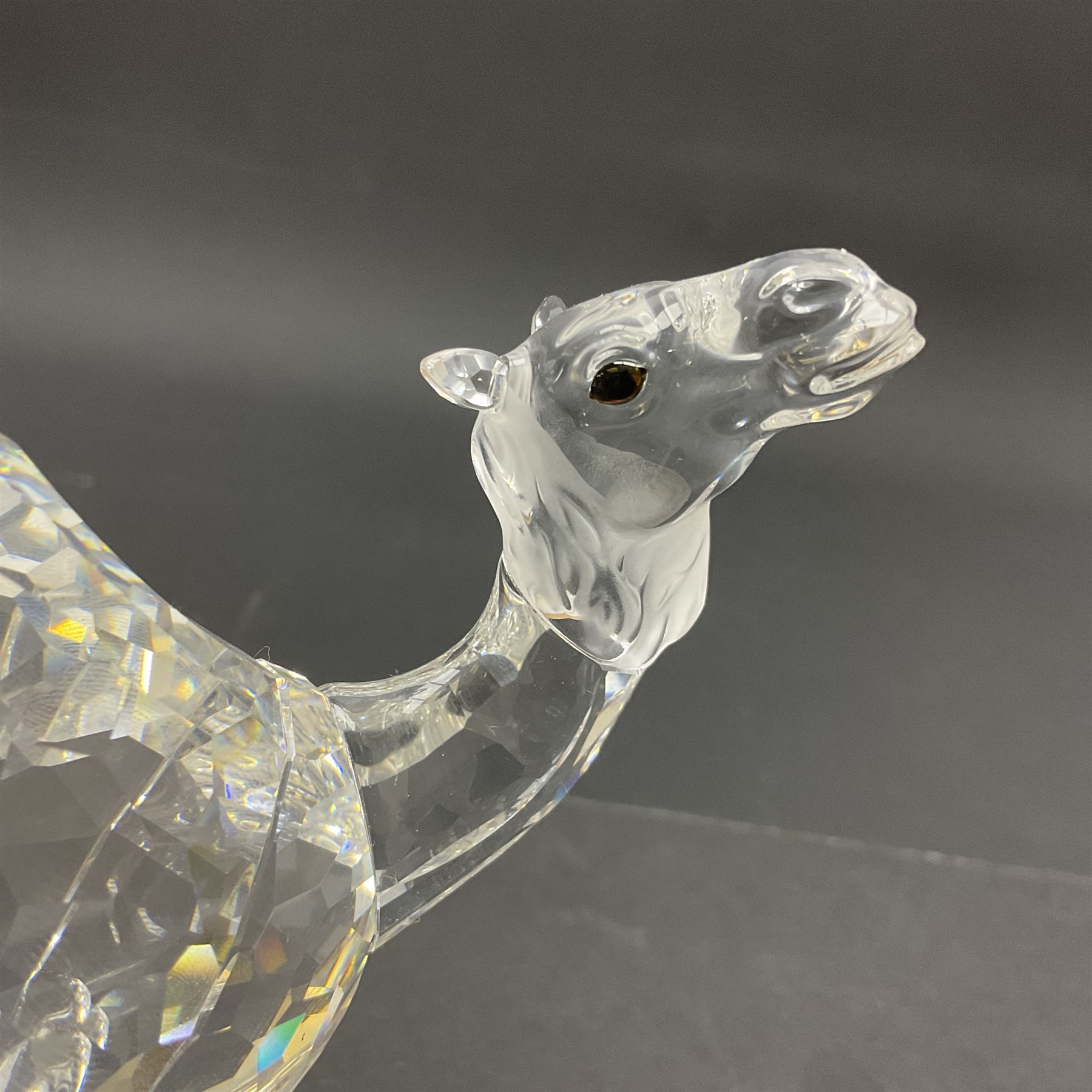 Swarovski Crystal animals, comprising camel and lion, both upon frosted crystal bases, together with Swarovski Crystal palm tree, upon similar frosted crystal base, tallest H14cm