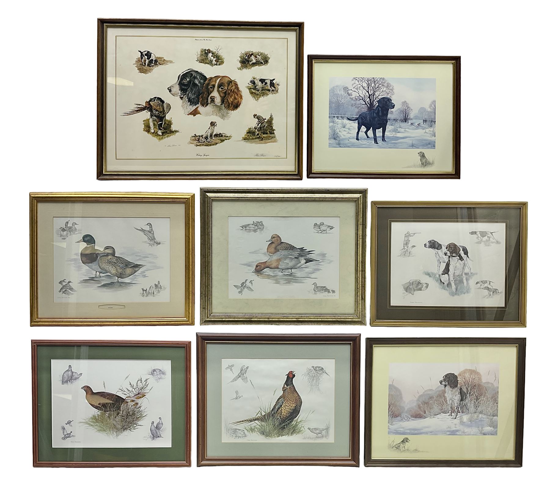After Alan Ellison, limited edition colour print 'Working Springers' no.178/750 signed on the mount 43 x 59cm; and seven colour prints after Nigel Hemming of game birds and gun dogs; all framed (8)