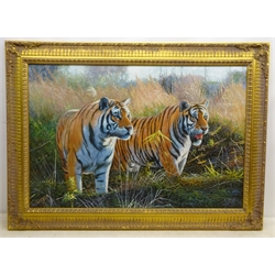  English School (20th century): Tigers on the Prowl, oil on board unsigned 60cm x 90cm  