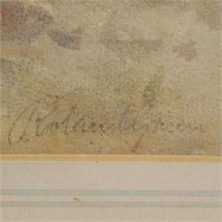 Roland Green (British 1890-1972): Sketch of a Pheasant, watercolour signed 33cm x 30cm 