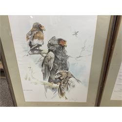 After Joan Beuche (South African 20th century) Eagles, set of six coloured prints (6)