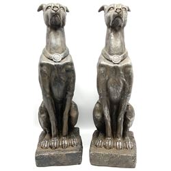 Pair of composite figures of greyhounds, modelled seated on a square base, H78cm 