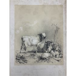 Thomas Sidney Cooper (British 1803-1902): 'Cooper's Designs for Cattle Pictures, Thirty Four Subjects of Cattle &co Designs for Pictures', London, published by T McLean, Ackermann & Co and C Tilt, 1837, with thirty two plates 