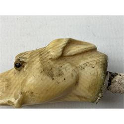 19th century carved ivory walking cane handle, modelled as the head of a greyhound with inset glass eyes, together with a further 19th century ivory example, modelled as a caricature of a gentleman's head, (2)