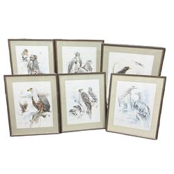 After Joan Beuche (South African 20th century) Eagles, set of six coloured prints (6)