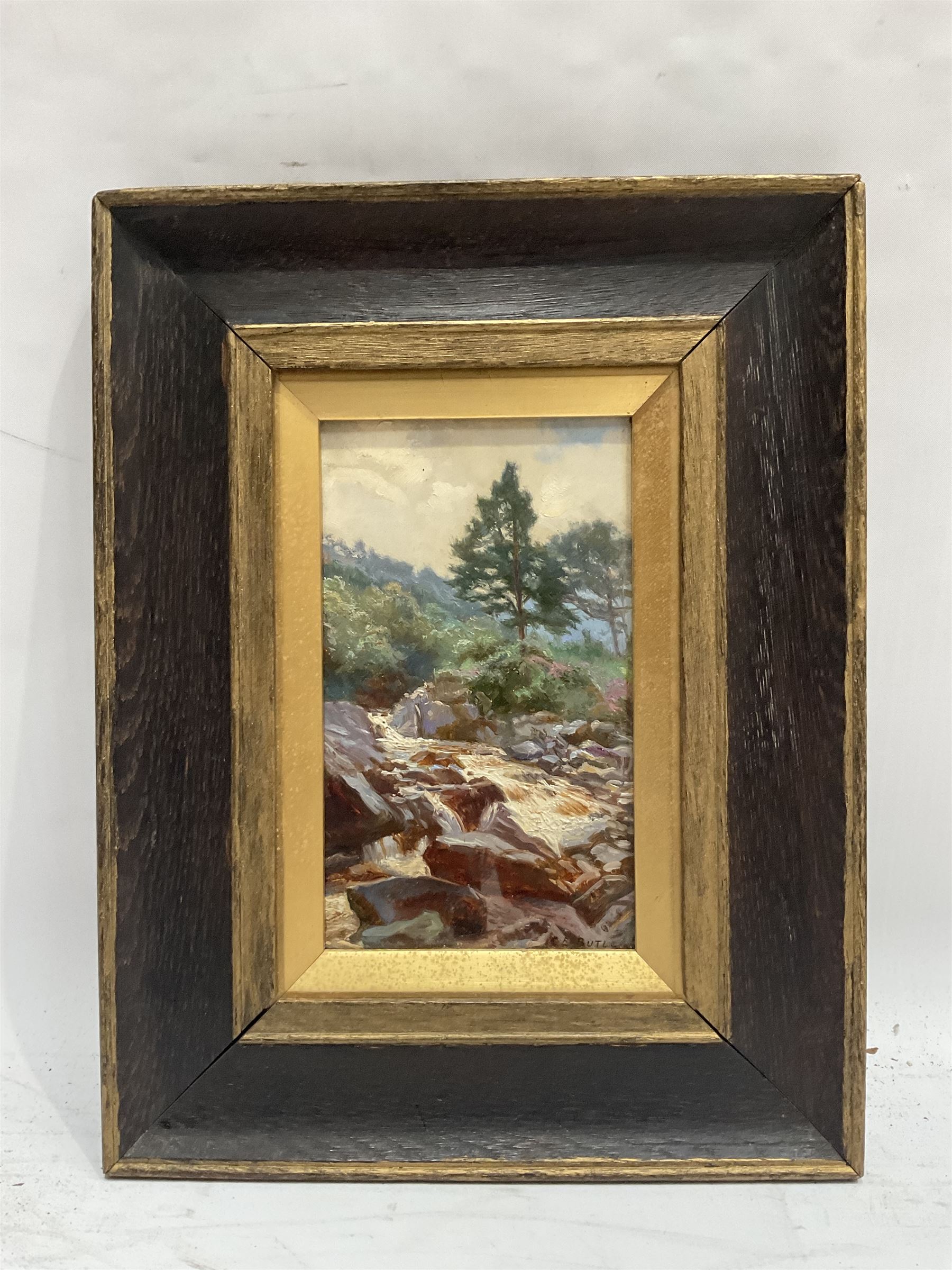 Charles Ernest Butler (British 1864-1918): Stream 'Near Callander' - Scotland, oil on board signed, indistinctly titled verso 19cm x 11cm 