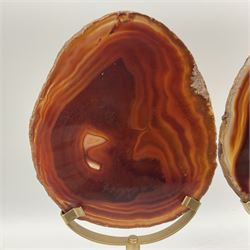 Pair of red agate slices, polished with rough edges raised upon gilt metal stands, H23cm