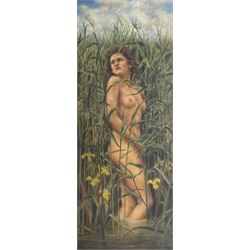 Continental School (Mid 20th Century): Nude in the Reeds, oil on canvas board unsigned 49cm x 20cm 